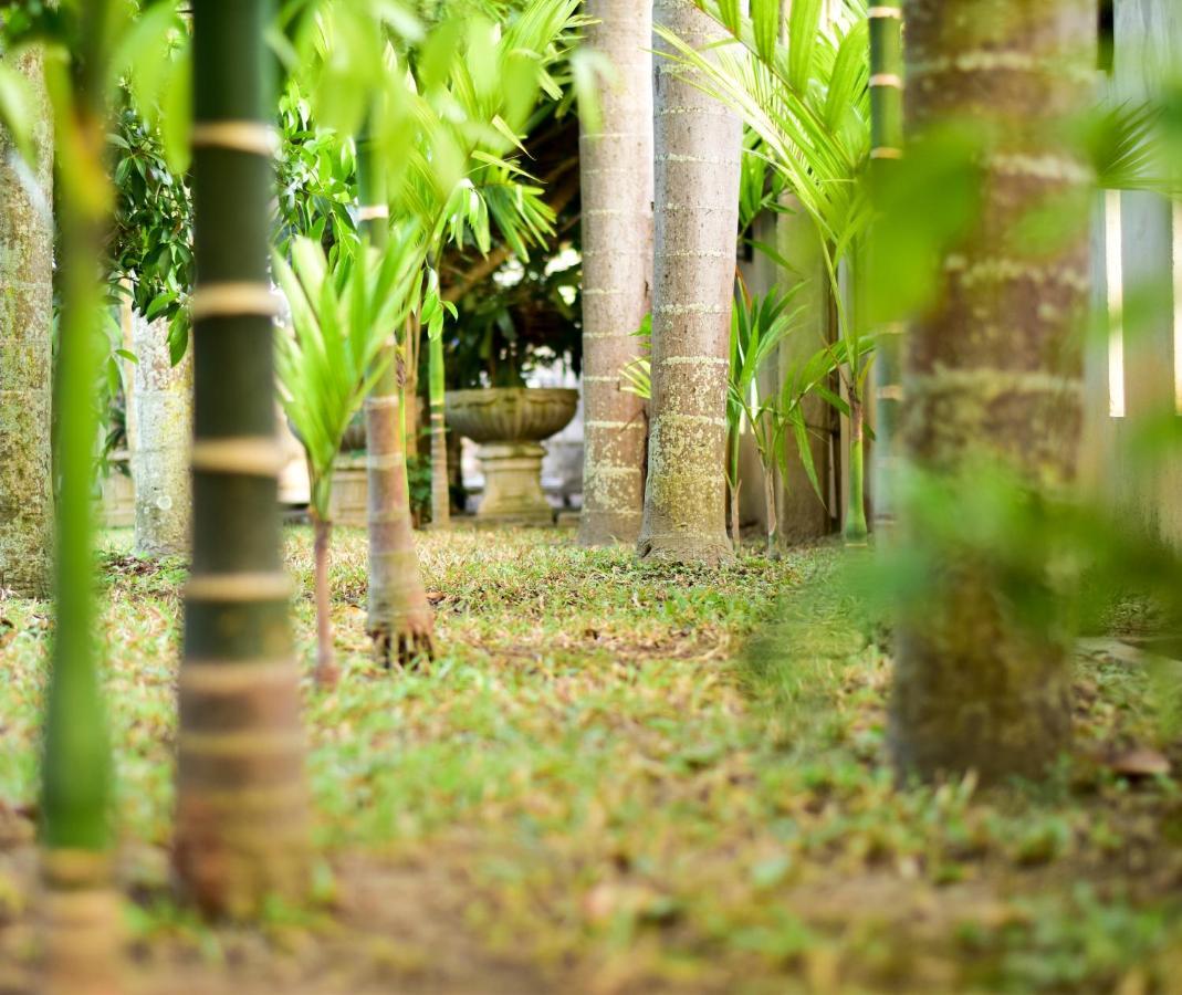 Chiang Mai Heritage House Kültér fotó